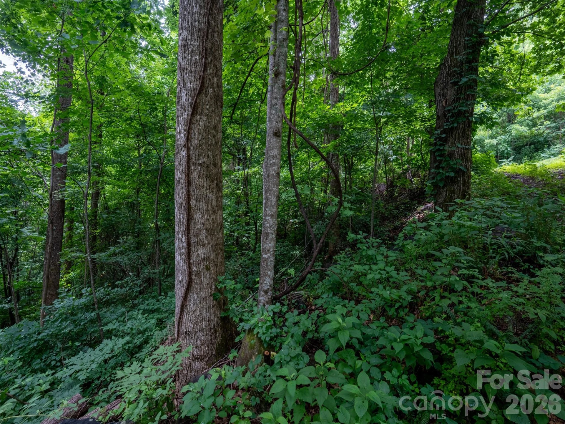 236 Nottingham Drive - Photo 5