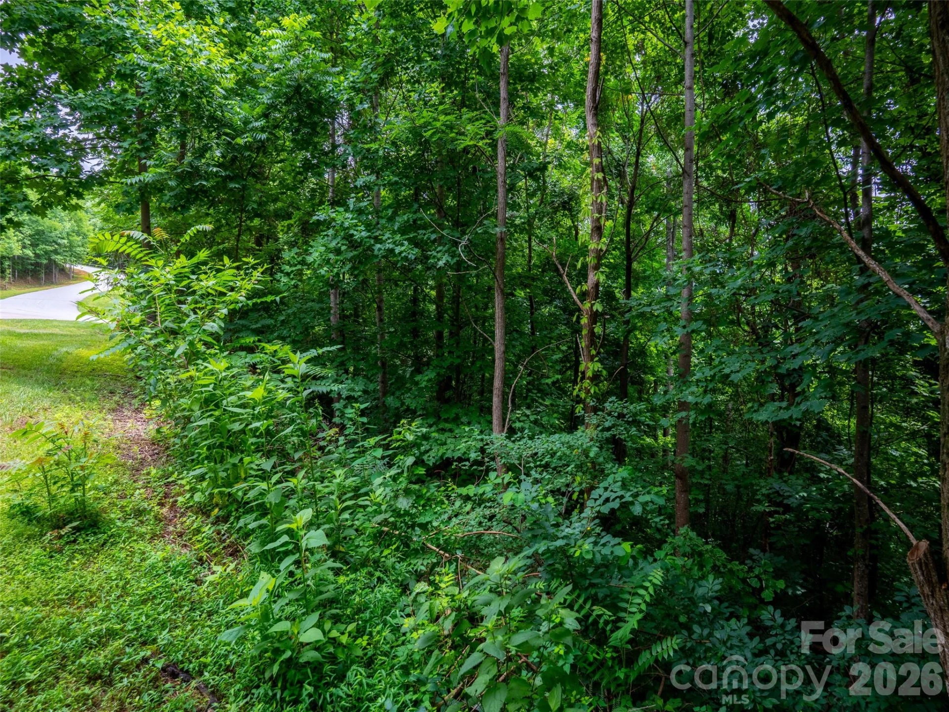 236 Nottingham Drive - Photo 7