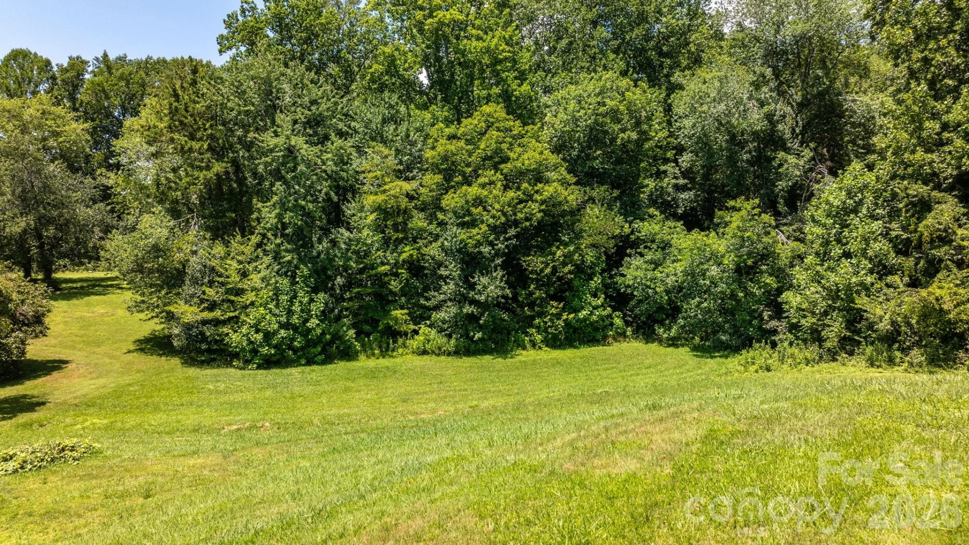 6264 US 221 Highway S - Photo 38