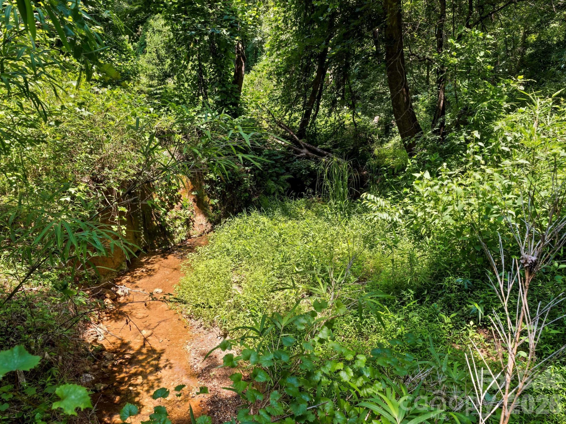 1541 Sandy Springs Road - Photo 31