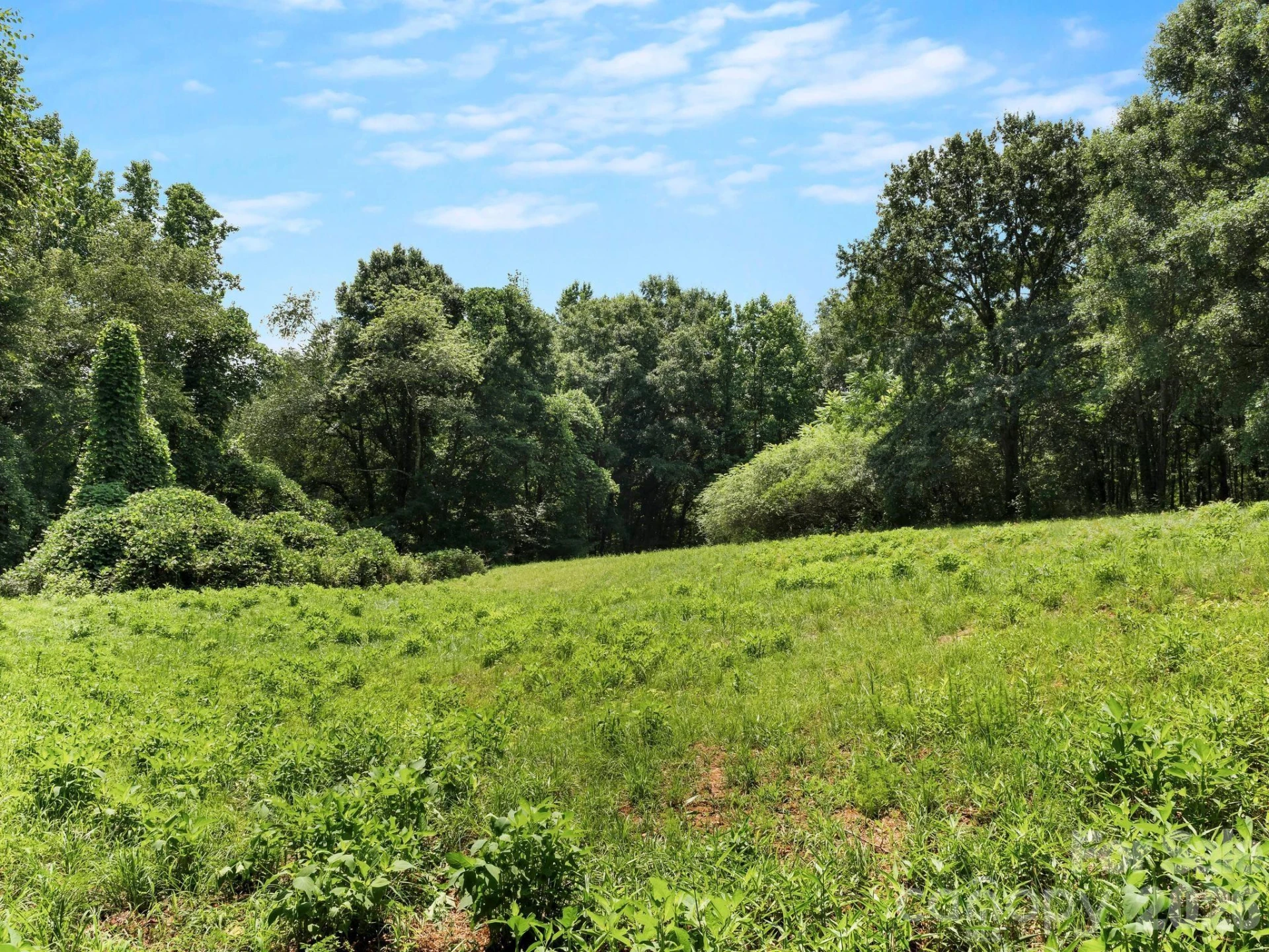 1541 Sandy Springs Road - Photo 32