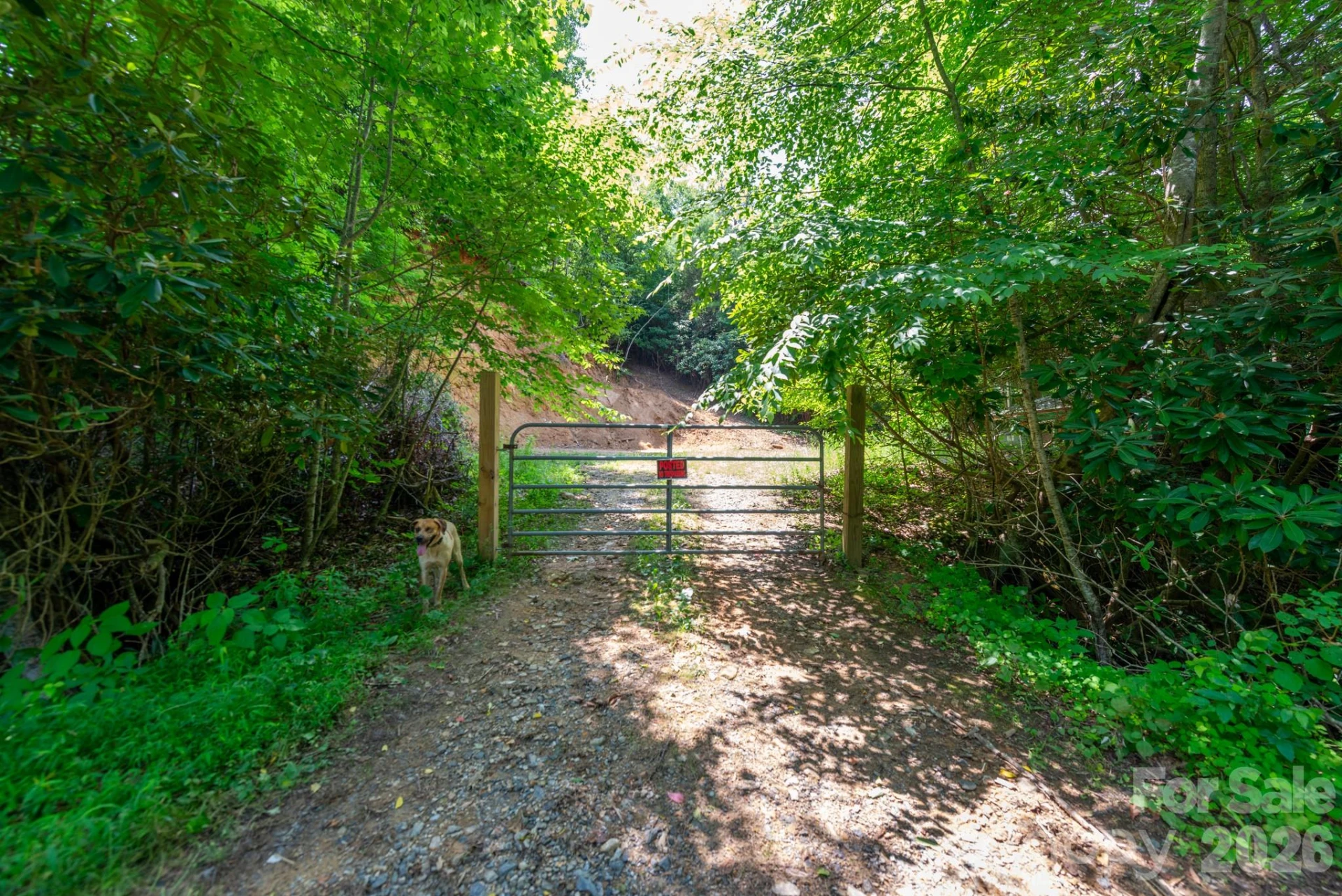 ### Board Tree Road #3 - Photo 11