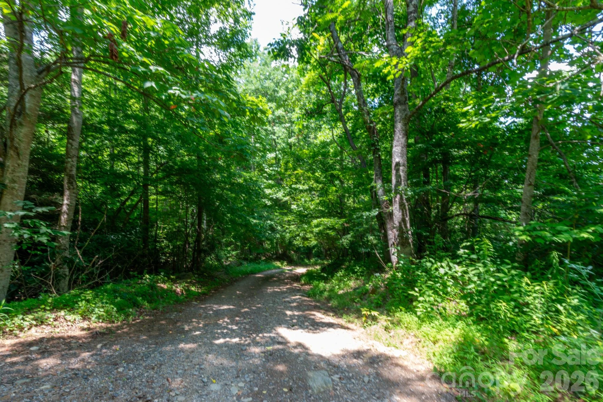 ### Board Tree Road #3 - Photo 10