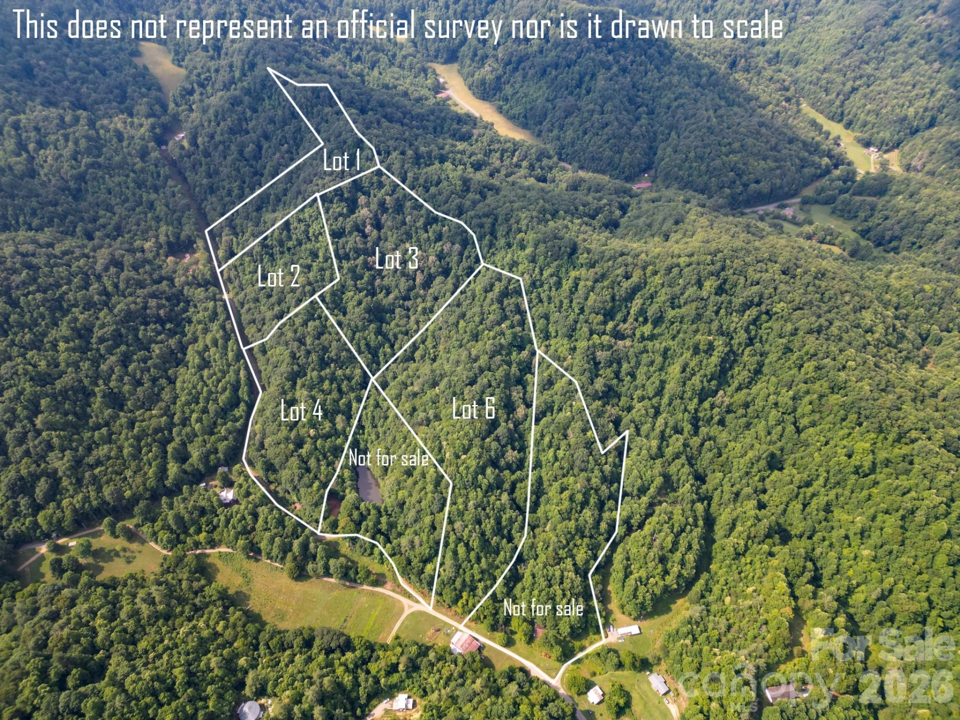 ### Board Tree Road #6 - Photo 2