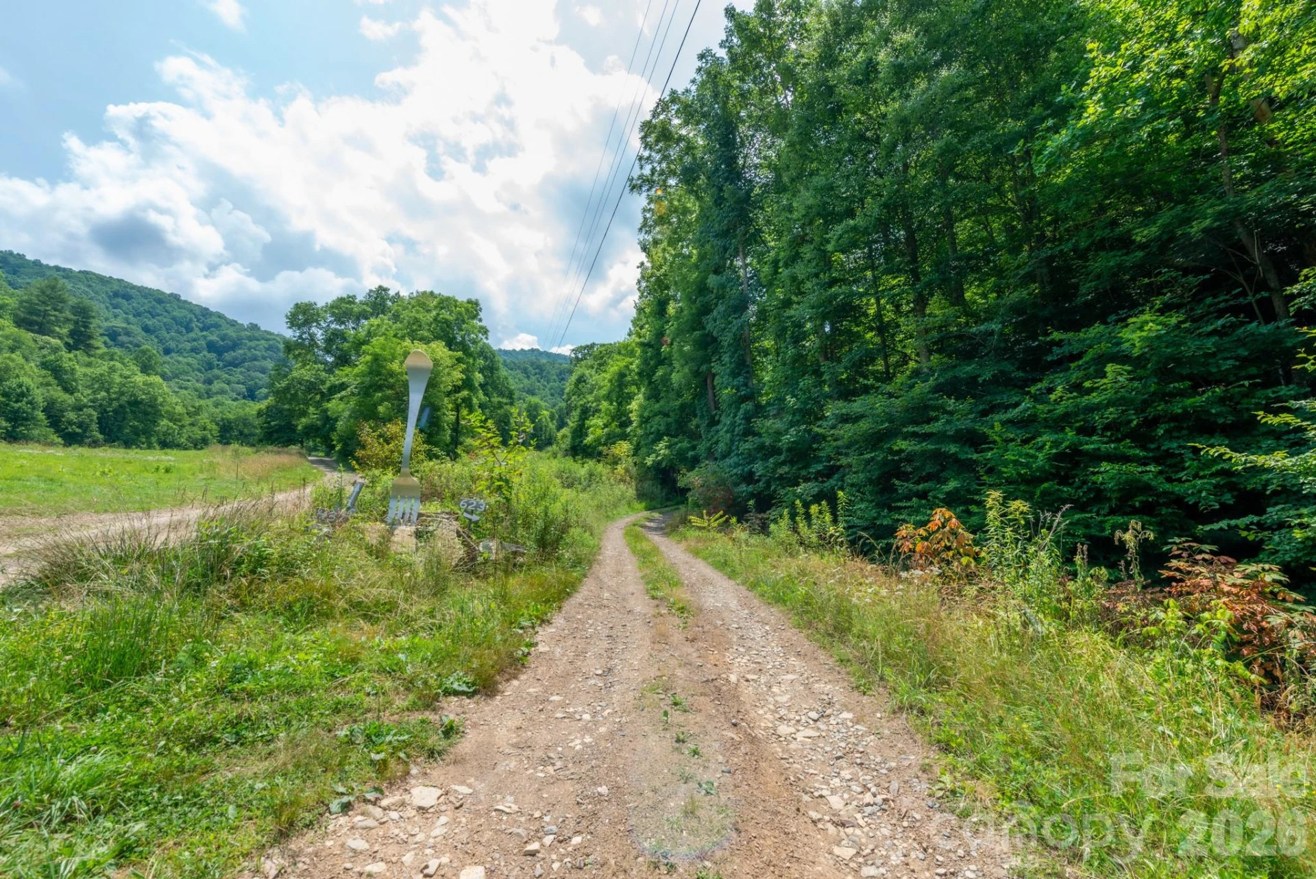 ### Board Tree Road #6 - Photo 13