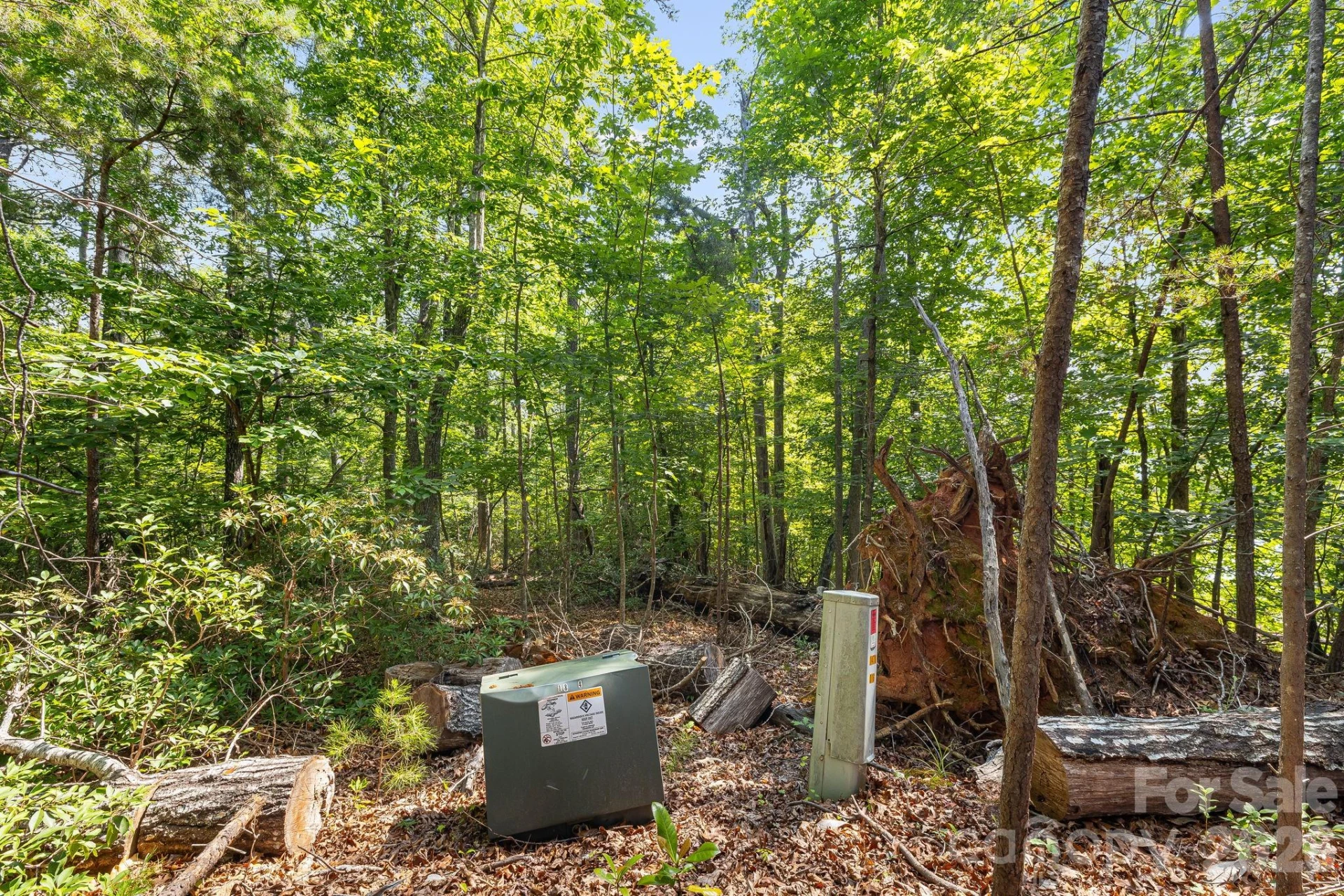 00 Canoe Drive #40 - Photo 12