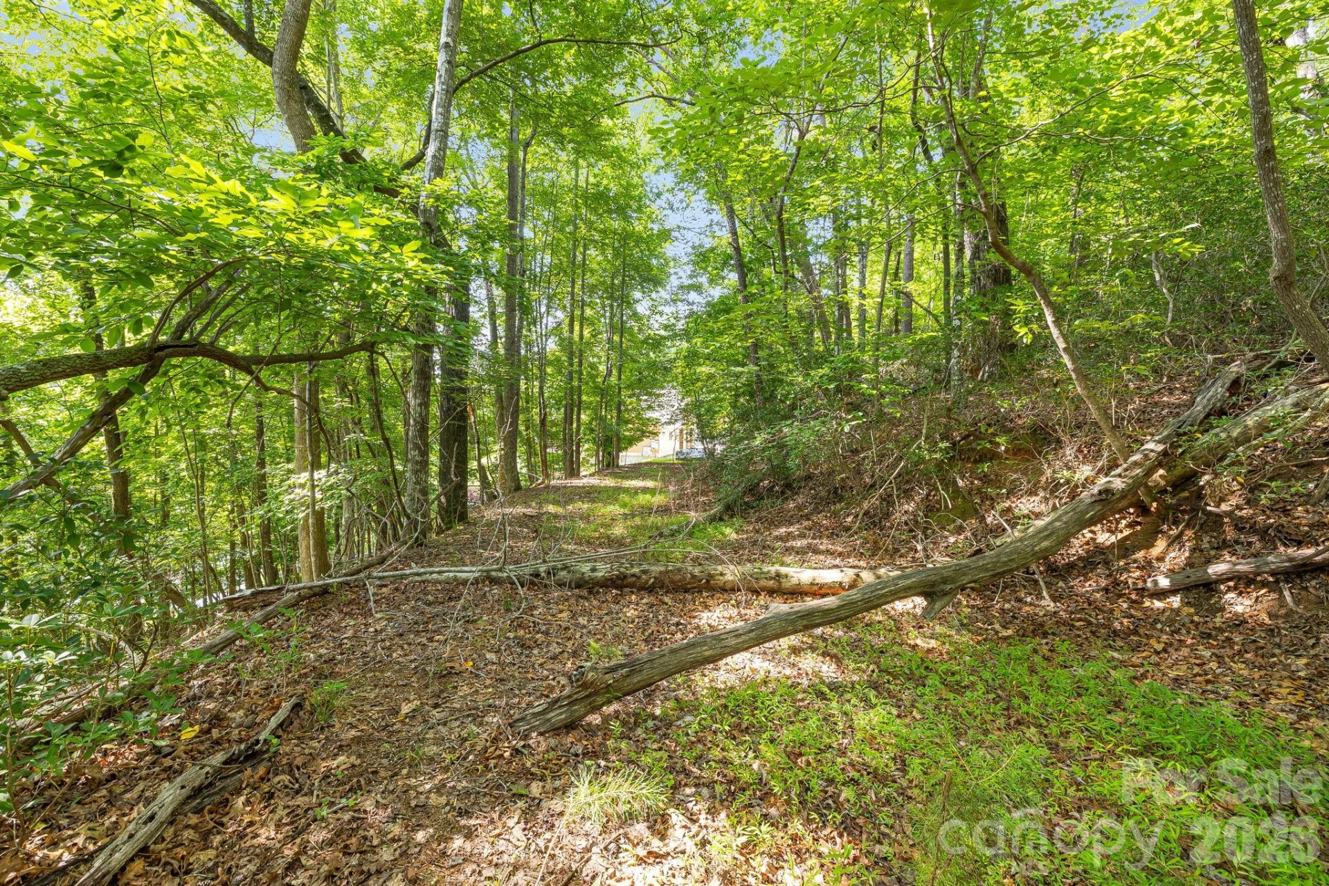00 Canoe Drive #40 - Photo 13