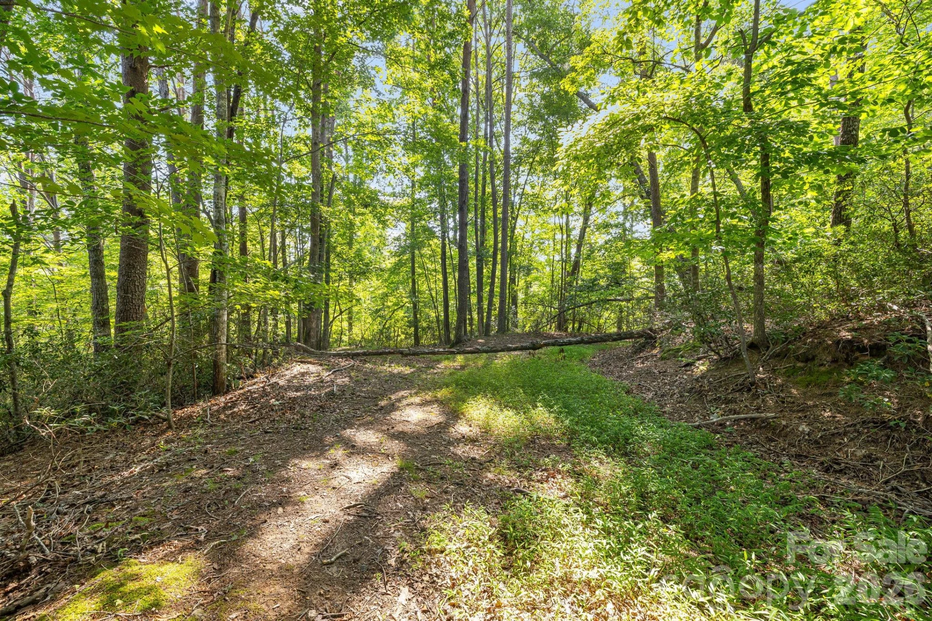 00 Canoe Drive #40 - Photo 14