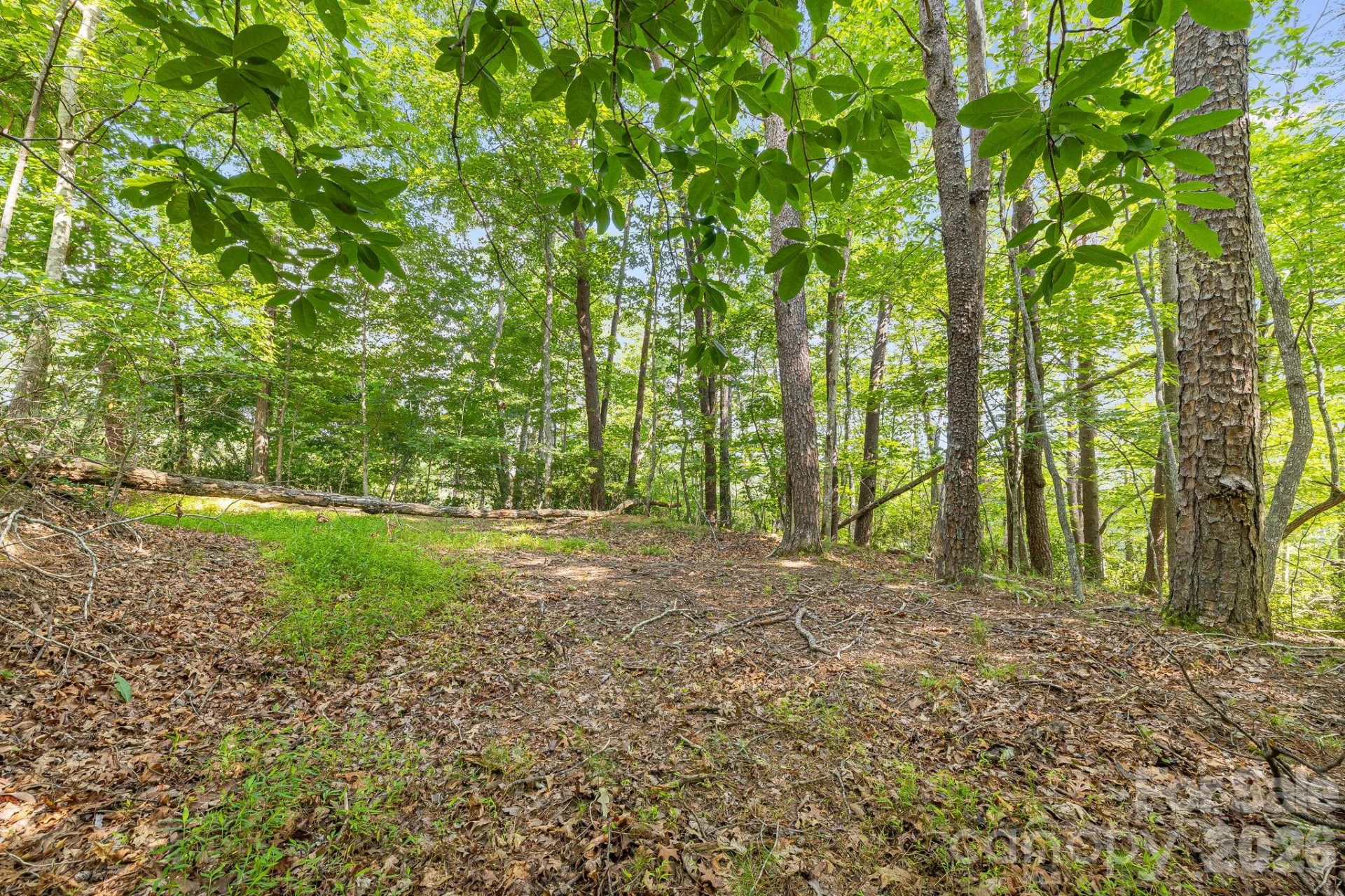 00 Canoe Drive #40 - Photo 15
