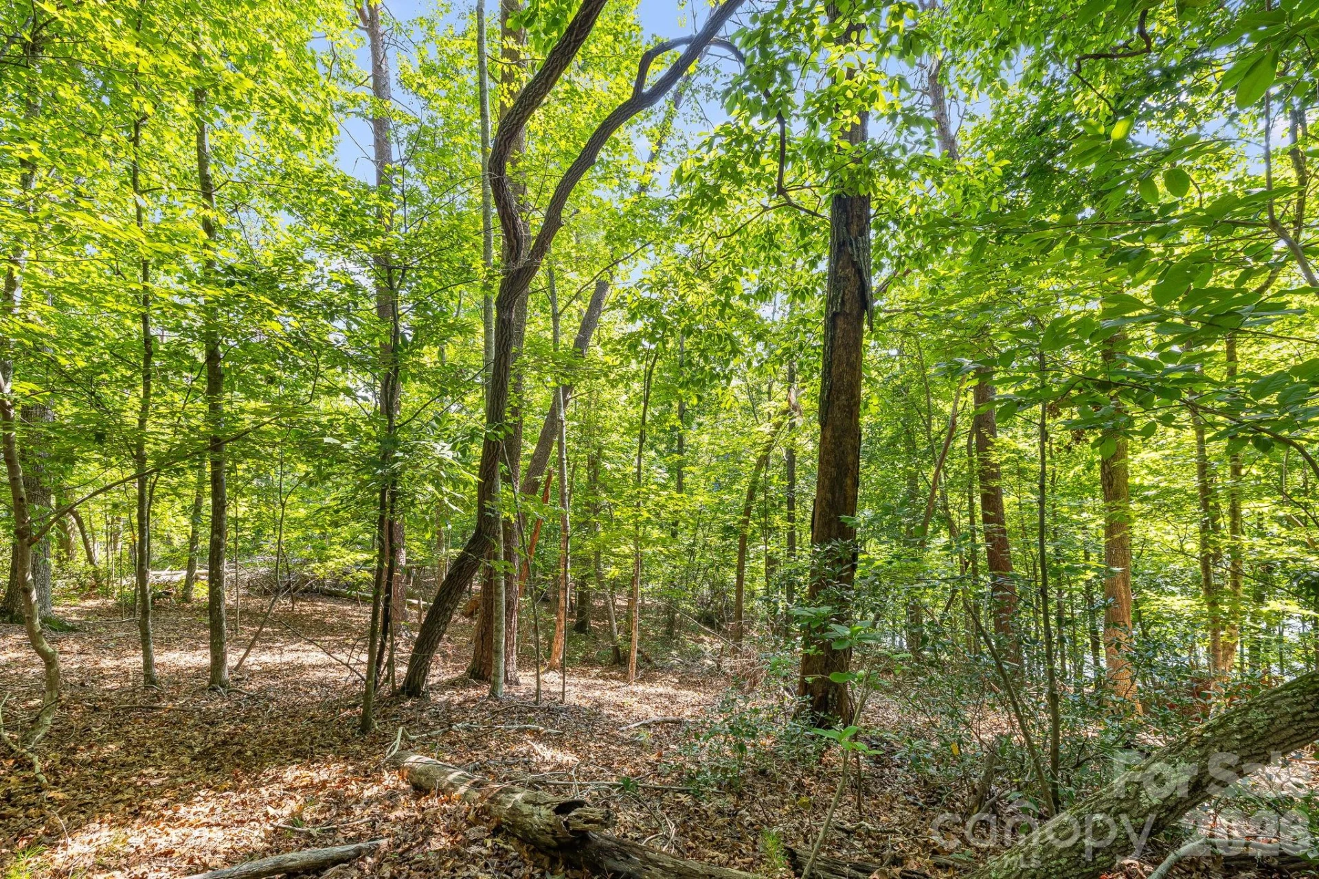 00 Canoe Drive #40 - Photo 16