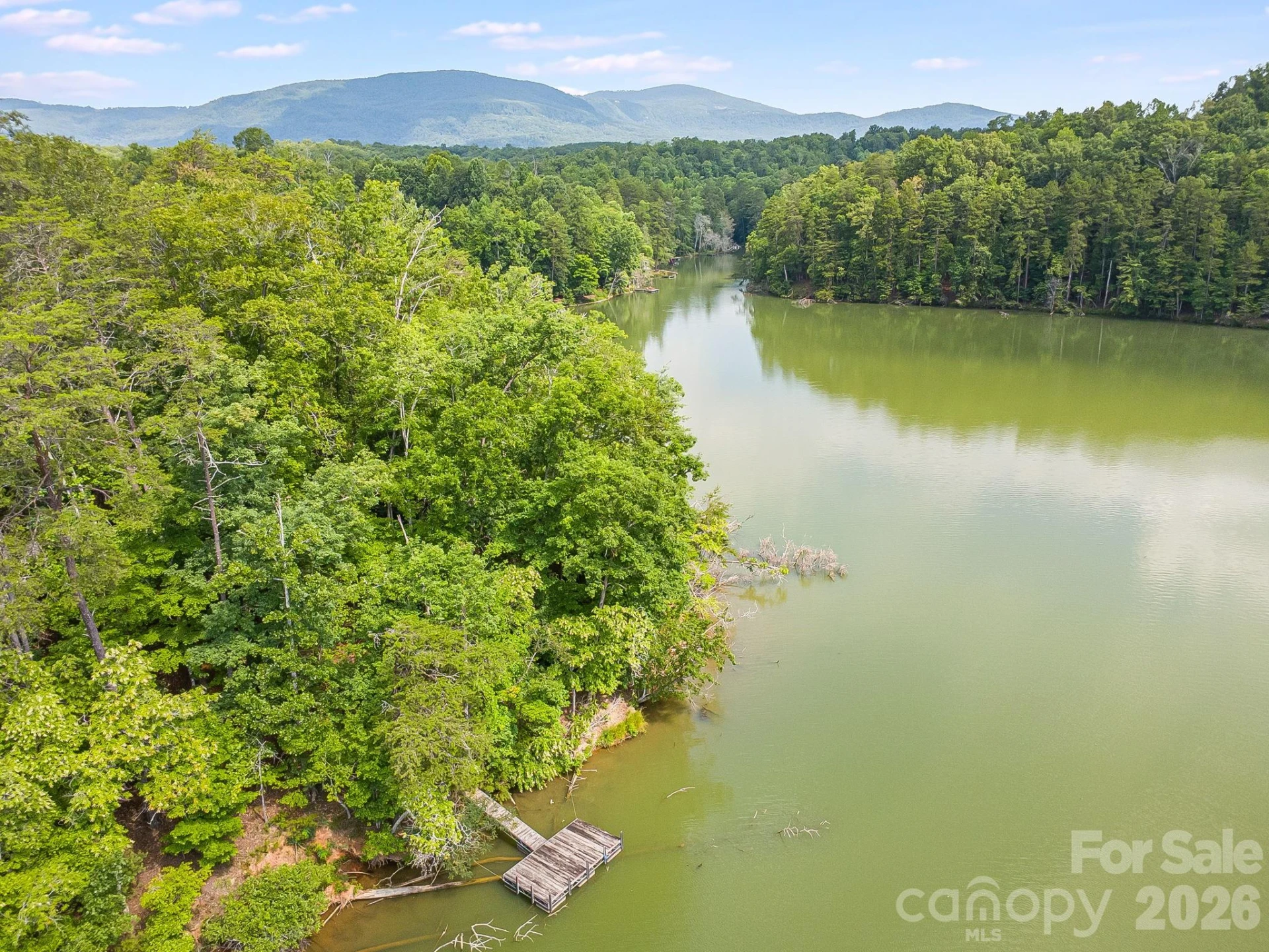 00 Canoe Drive #40 - Photo 6