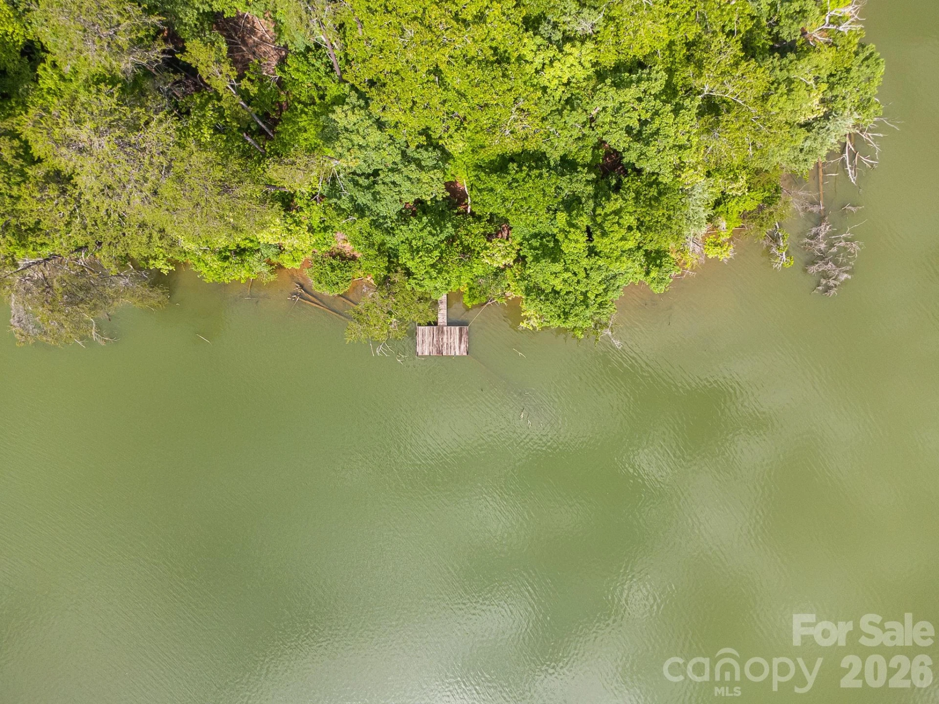 00 Canoe Drive #40 - Photo 7