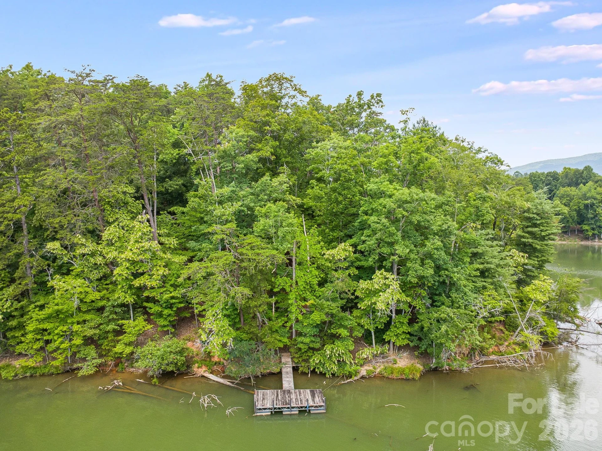 00 Canoe Drive #40 - Photo 8