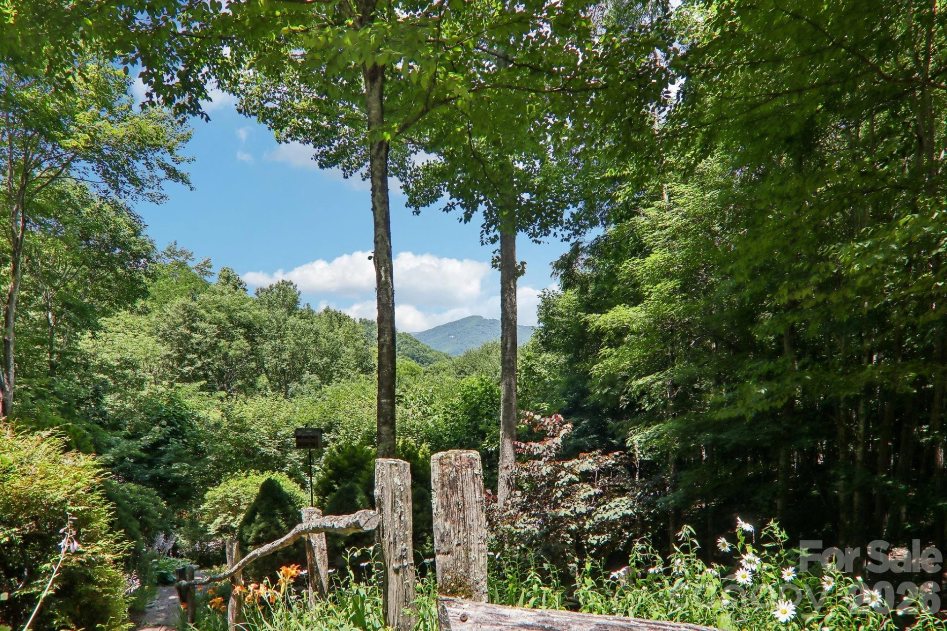 157 Kanusati Trail - Photo 43