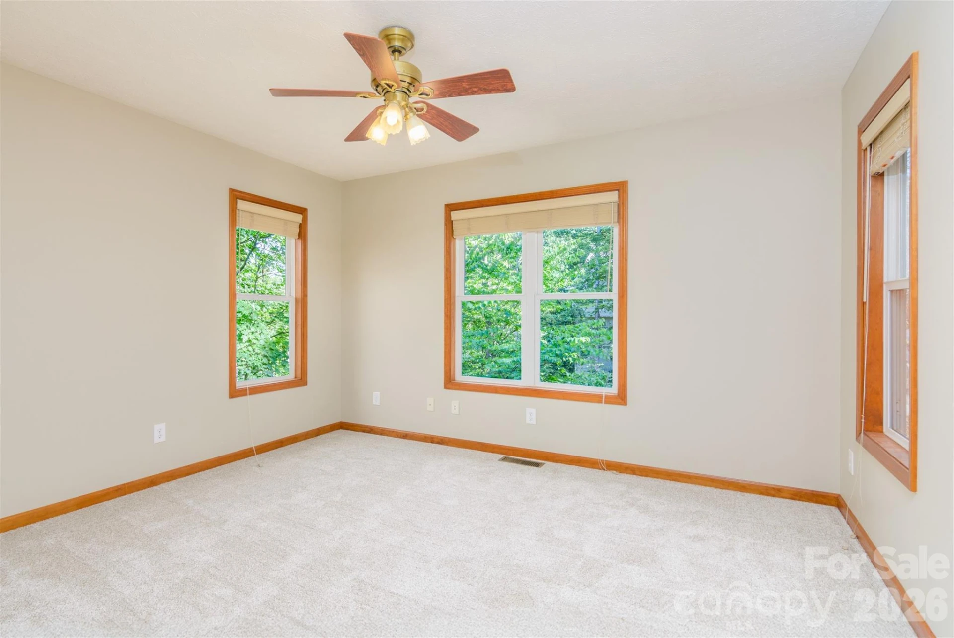 299 Carriage Summitt Way - Photo 27