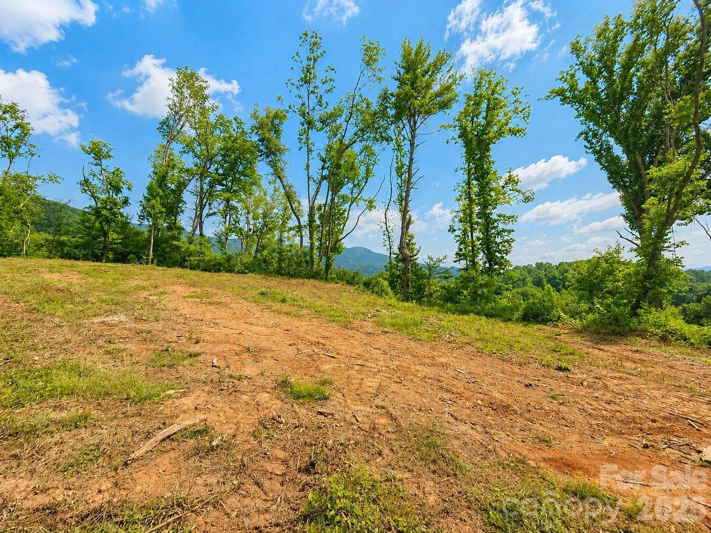 271 Sorrells Cove Road #C2 - Photo 11