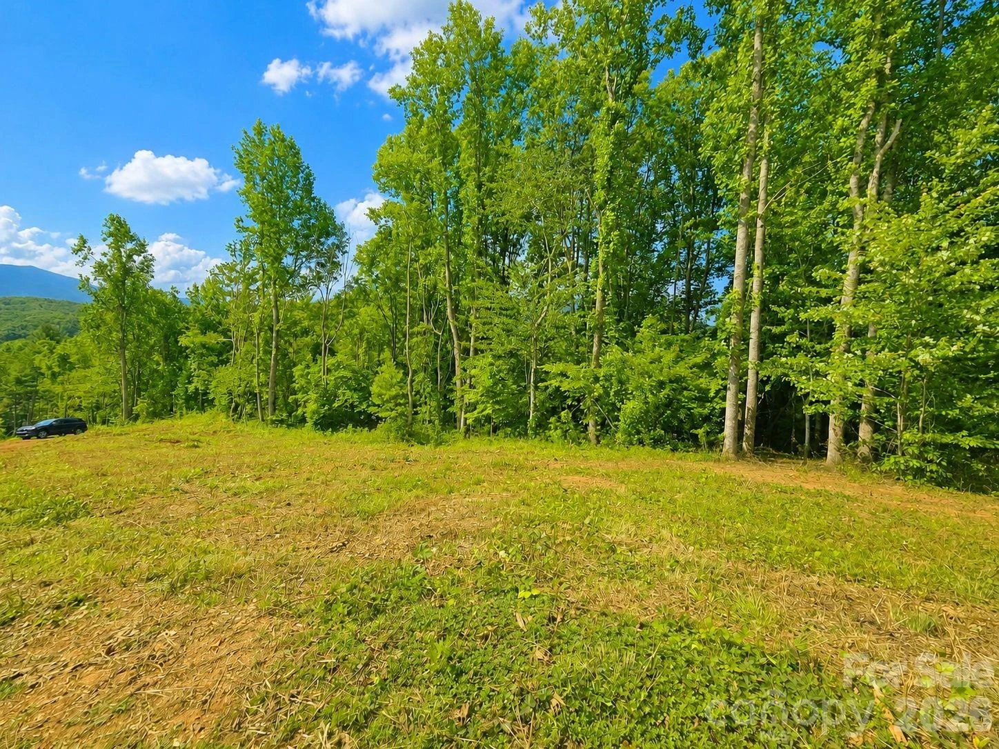 271 Sorrells Cove Road #C2 - Photo 12