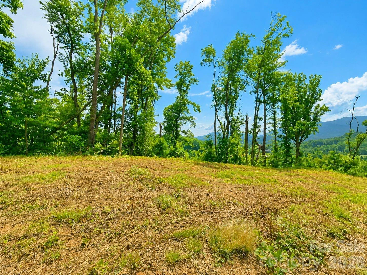 271 Sorrells Cove Road #C2 - Photo 14