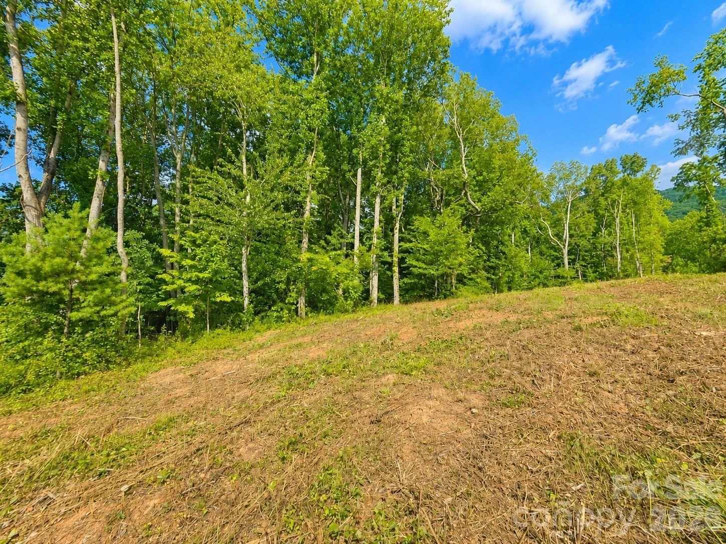 271 Sorrells Cove Road #C2 - Photo 5