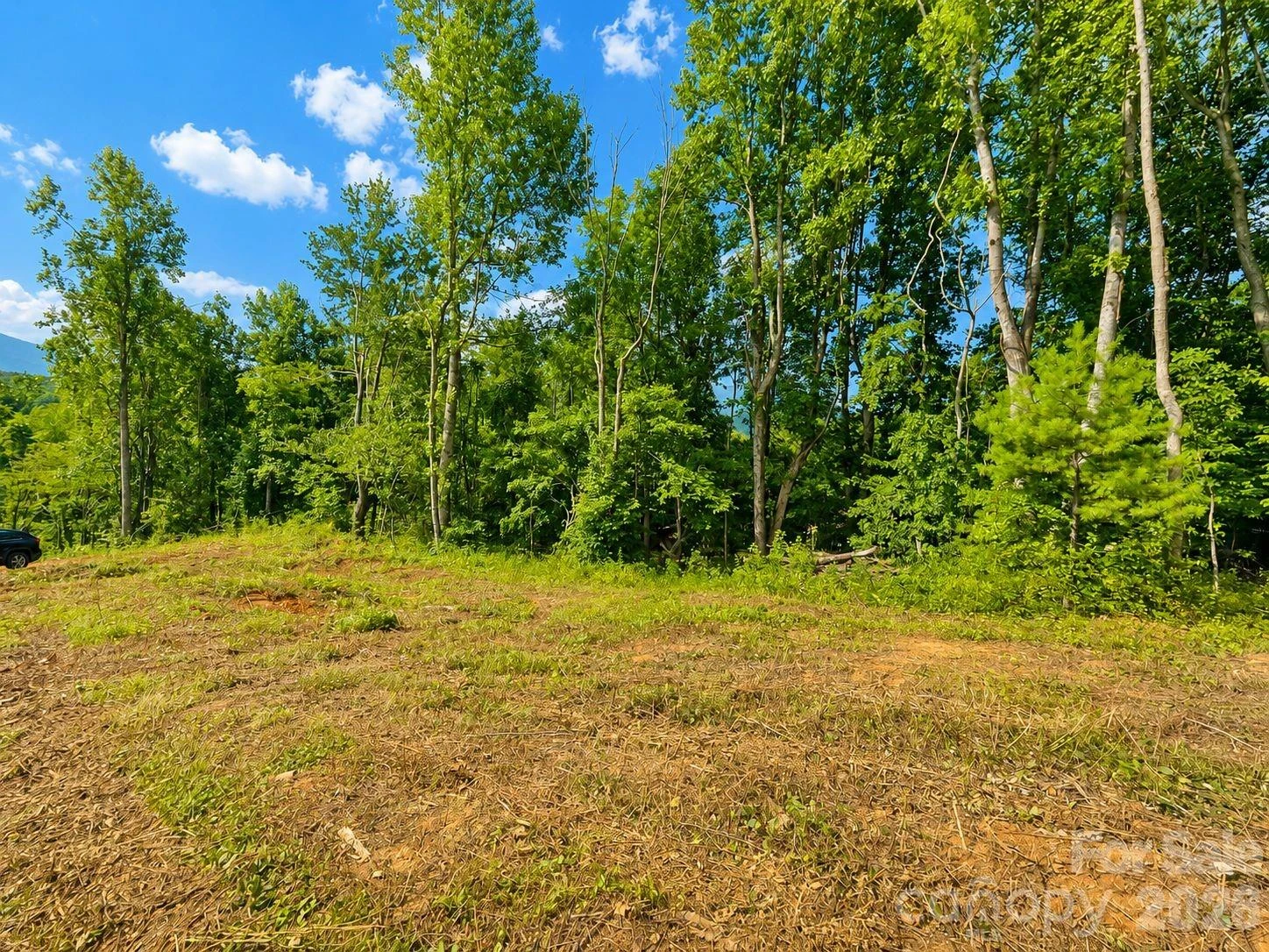 271 Sorrells Cove Road #C2 - Photo 7
