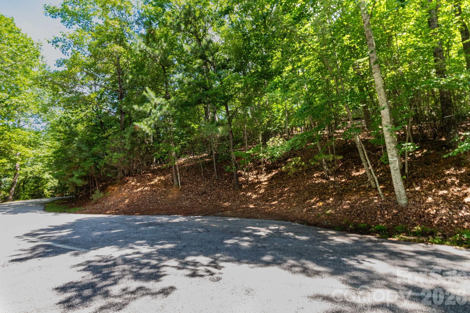 50 Cedar Drive - Photo 2
