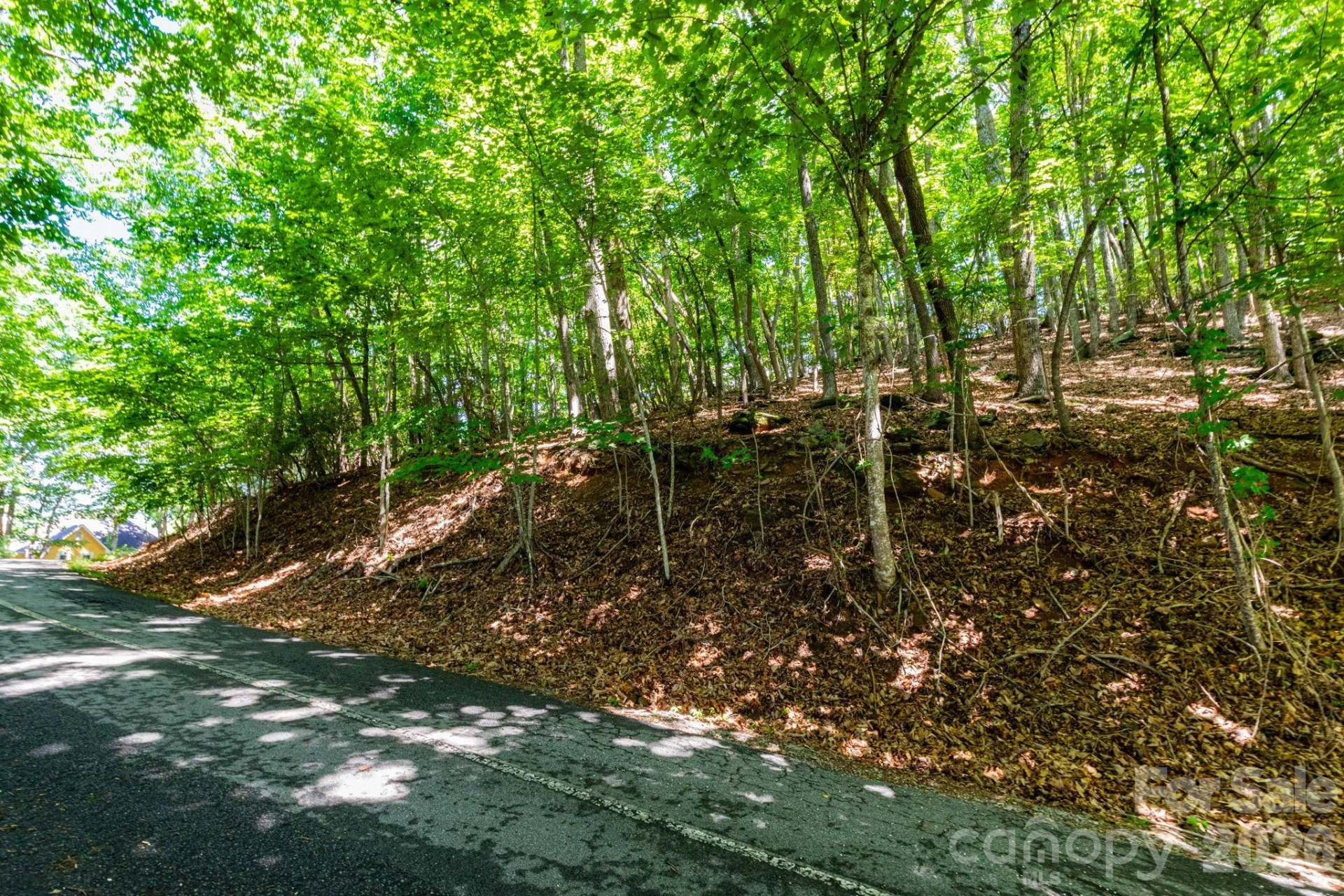 50 Cedar Drive - Photo 3