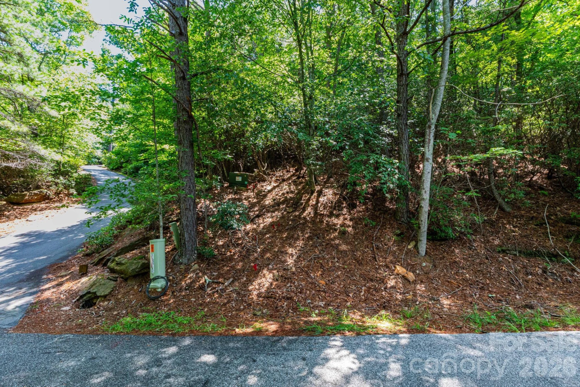 50 Cedar Drive - Photo 4