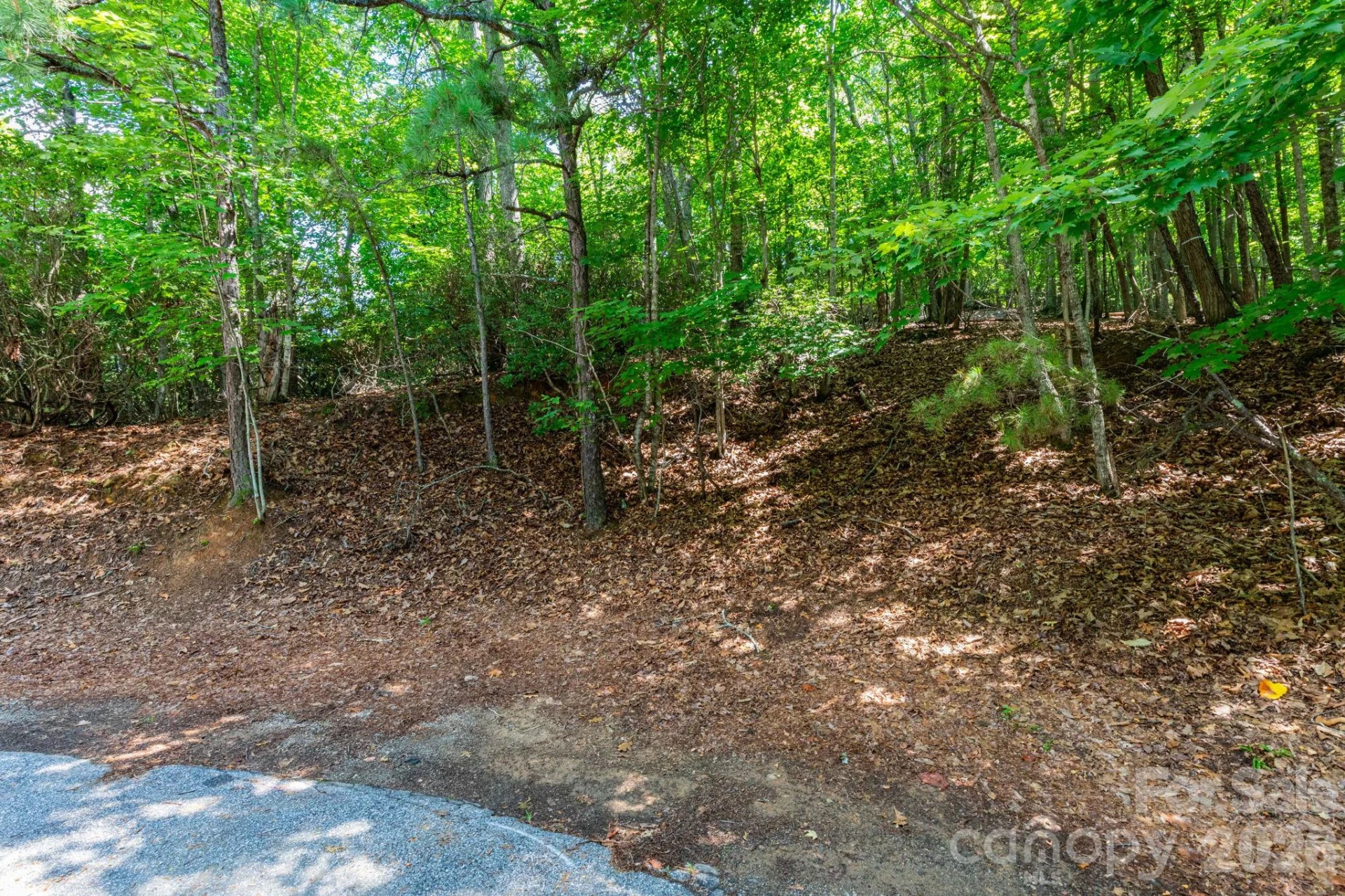50 Cedar Drive - Photo 6