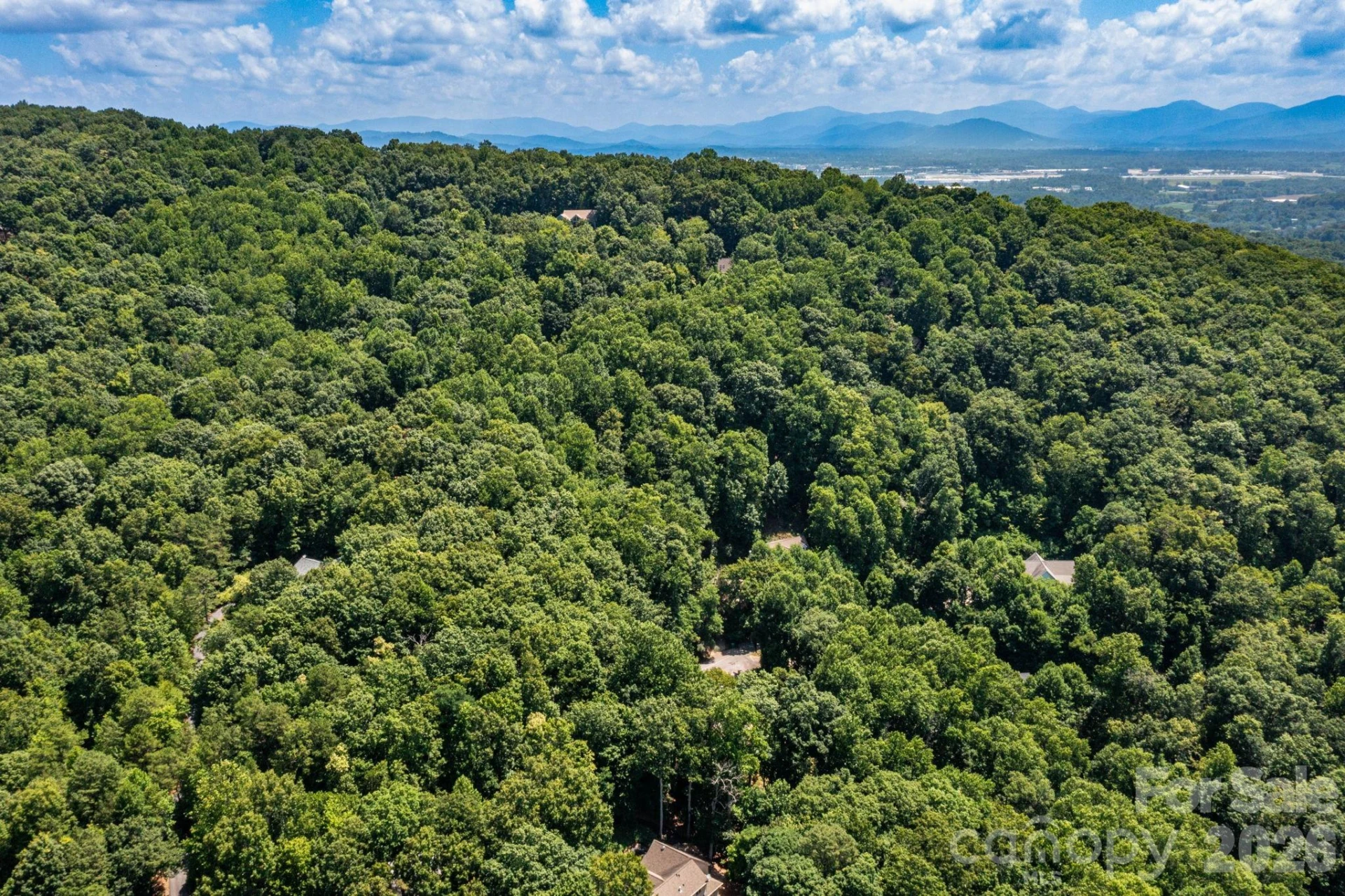 50 Cedar Drive - Photo 7