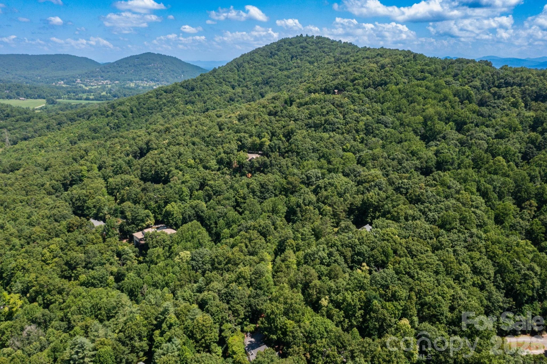 50 Cedar Drive - Photo 9