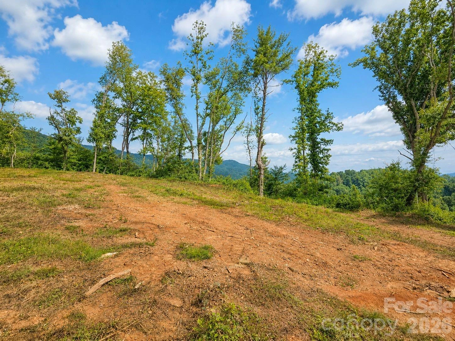 275 Sorrells Cove Road #C1