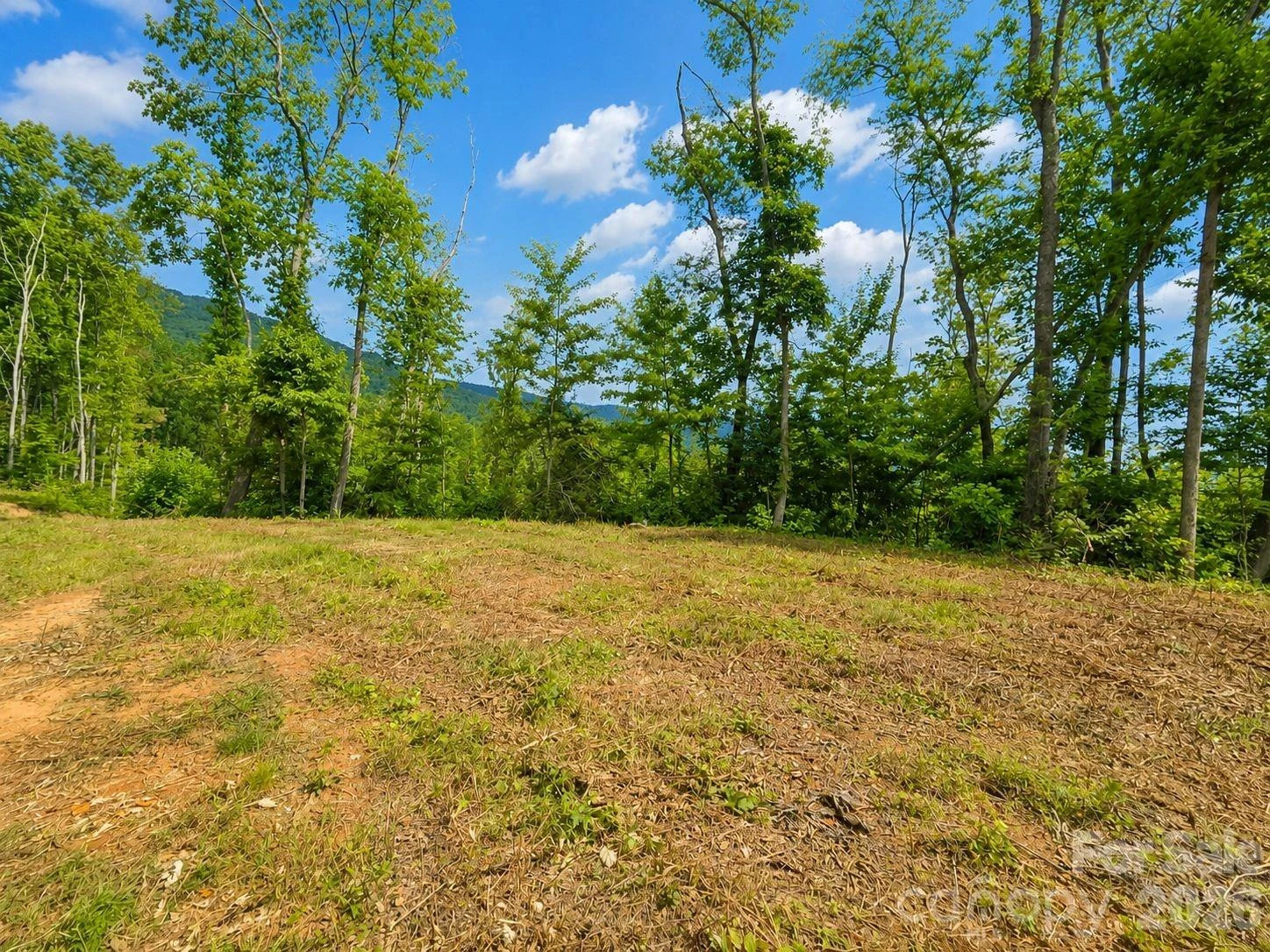 275 Sorrells Cove Road #C1 - Photo 12