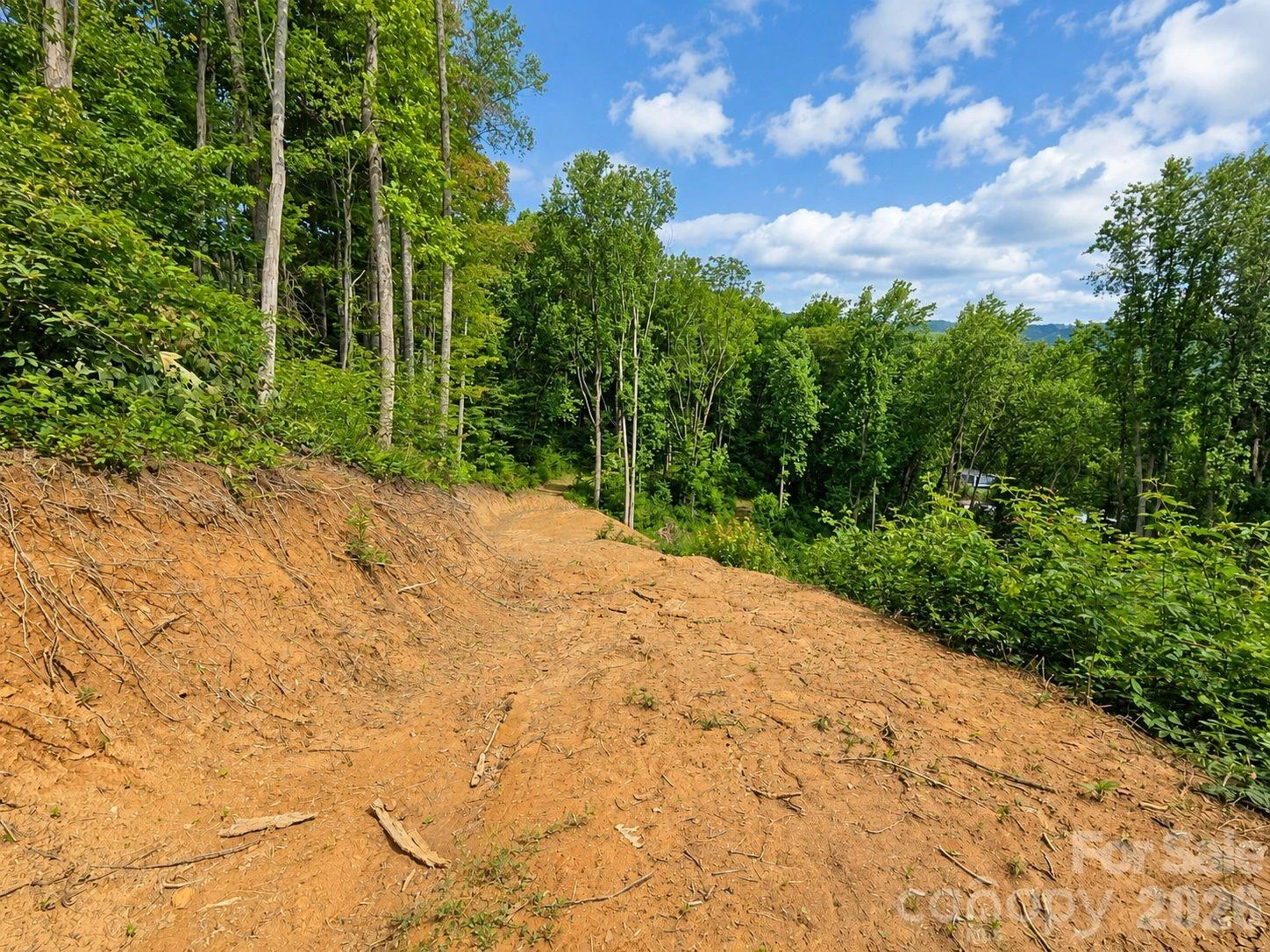 275 Sorrells Cove Road #C1 - Photo 13