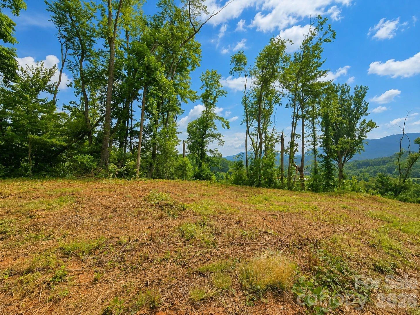 275 Sorrells Cove Road #C1 - Photo 4