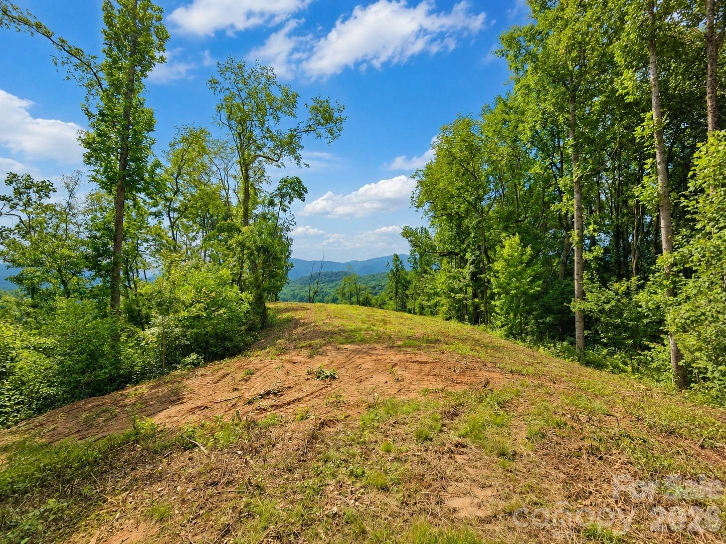 275 Sorrells Cove Road #C1 - Photo 5