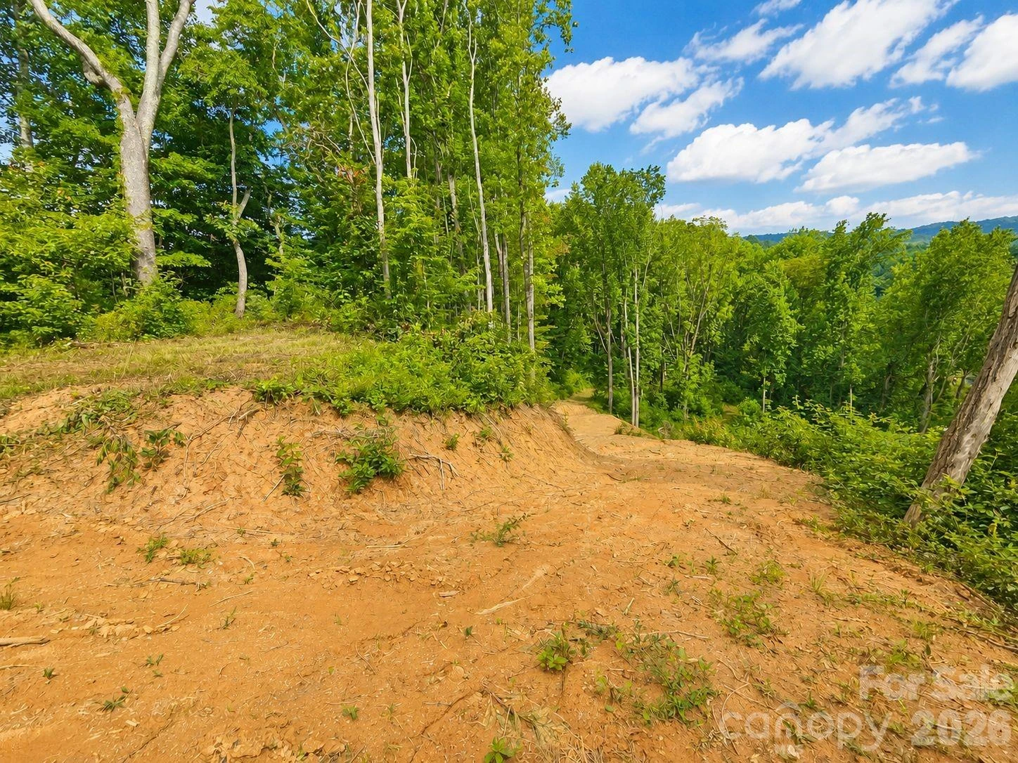 275 Sorrells Cove Road #C1 - Photo 8