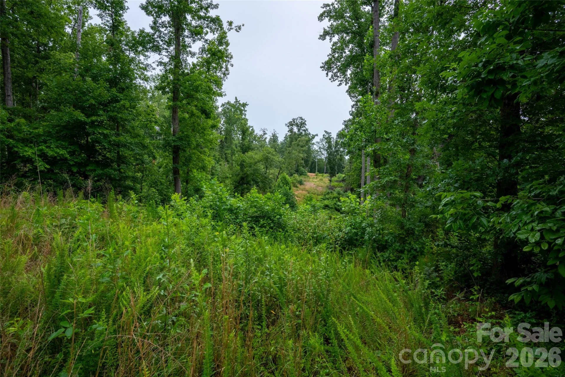 443 Polk County Line Road - Photo 28