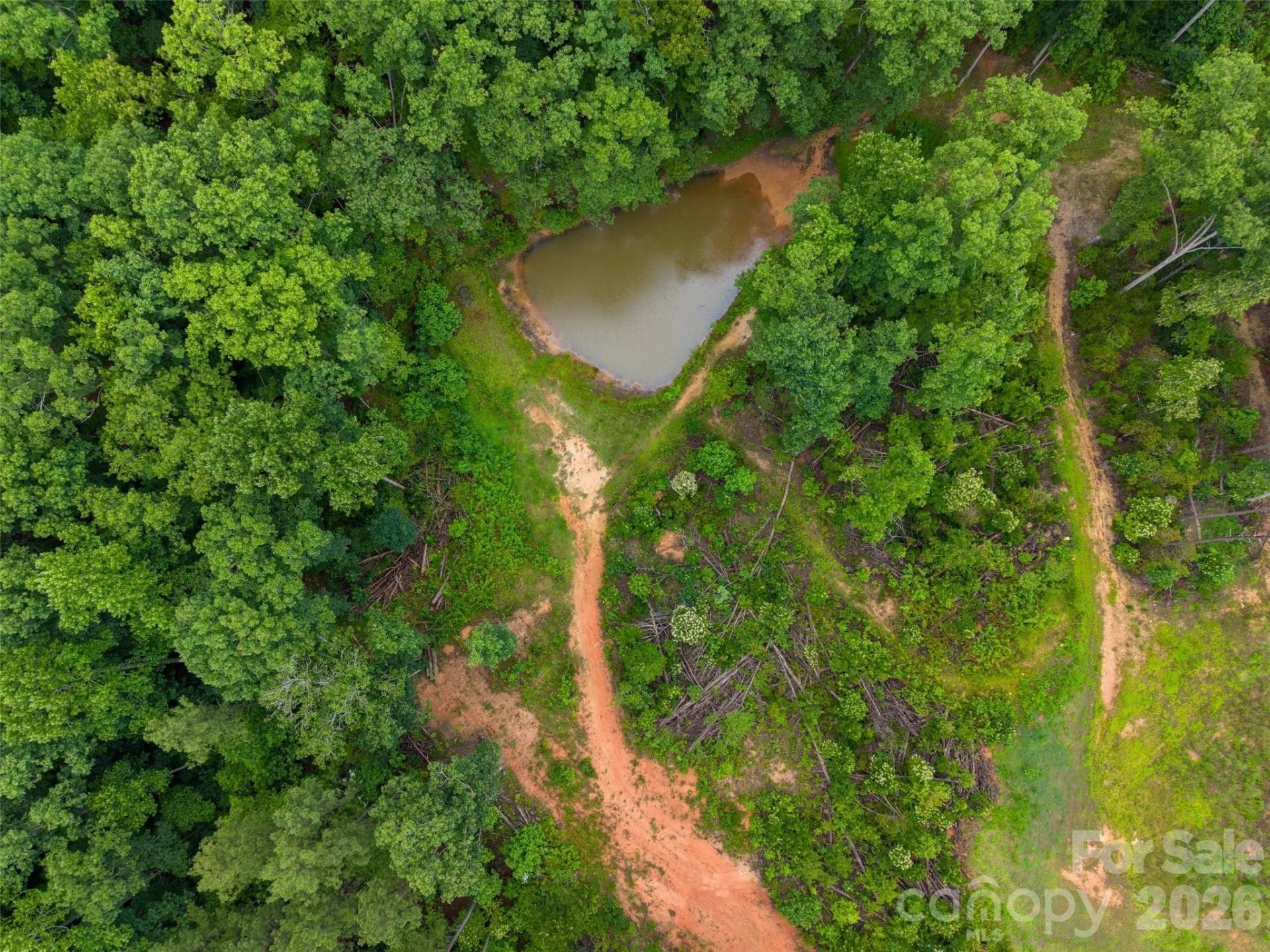 443 Polk County Line Road - Photo 6