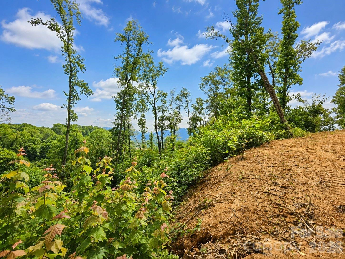 275 Sorrells Cove Road #C-1, C-2 - Photo 17