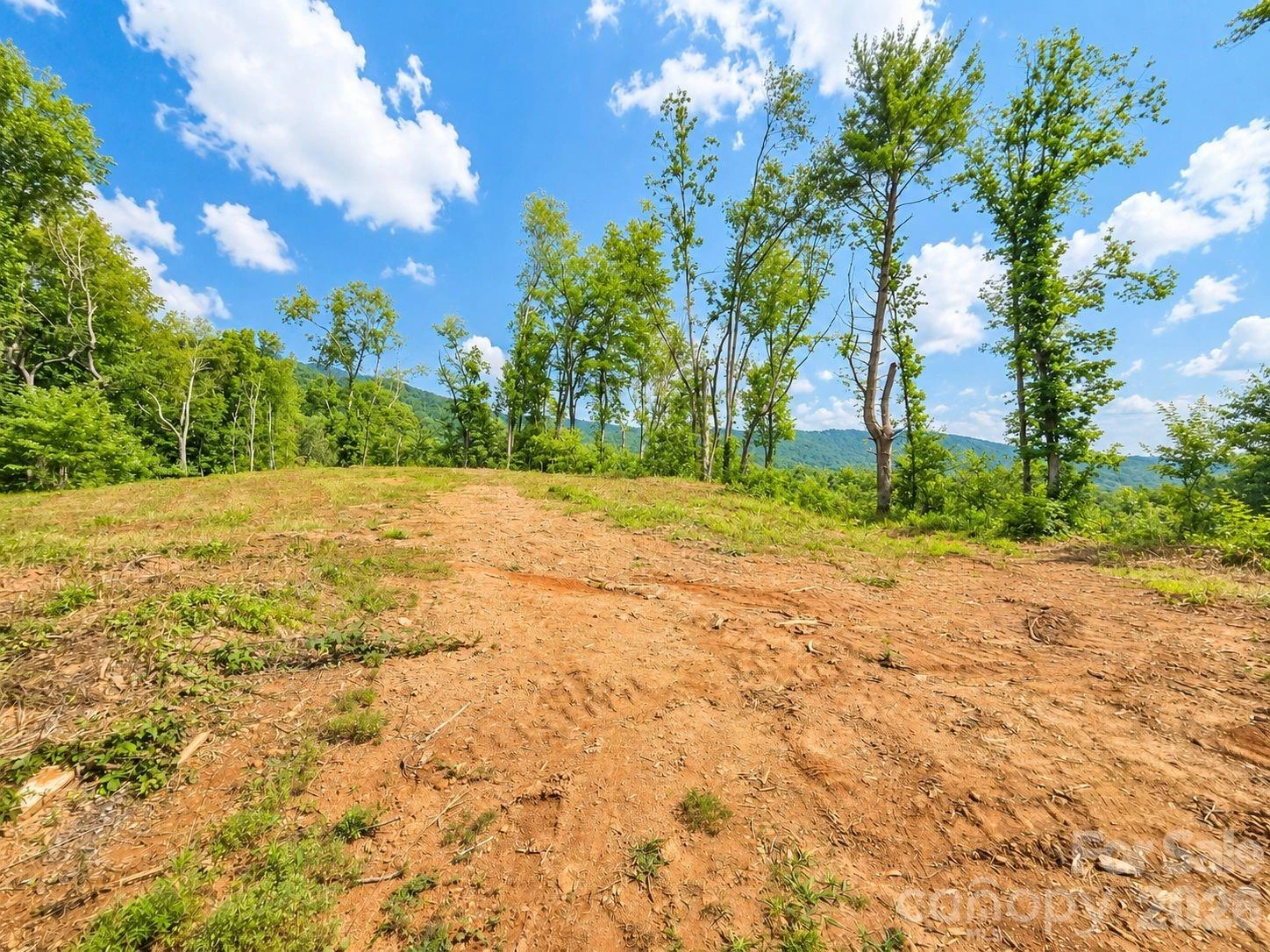 275 Sorrells Cove Road #C-1, C-2 - Photo 4
