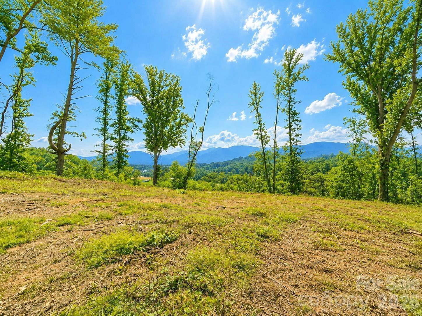 275 Sorrells Cove Road #C-1, C-2 - Photo 6