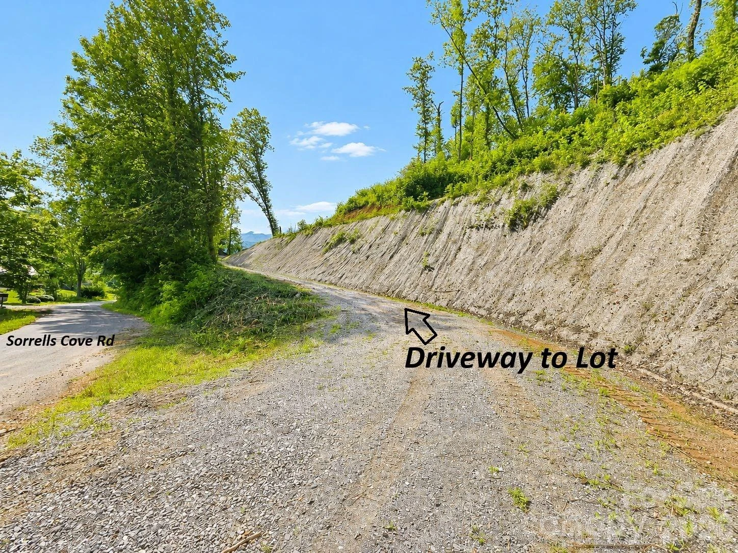 275 Sorrells Cove Road #C-1, C-2 - Photo 8