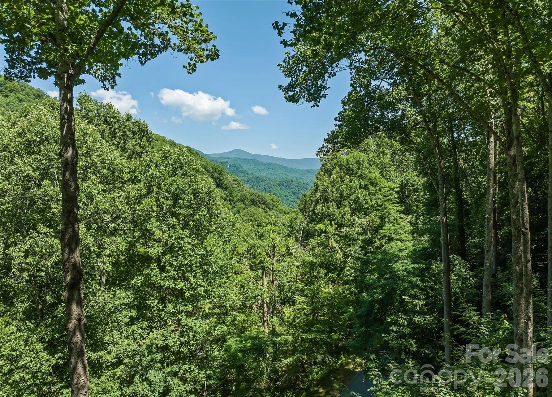 26 Tawodi Trail - Photo 2
