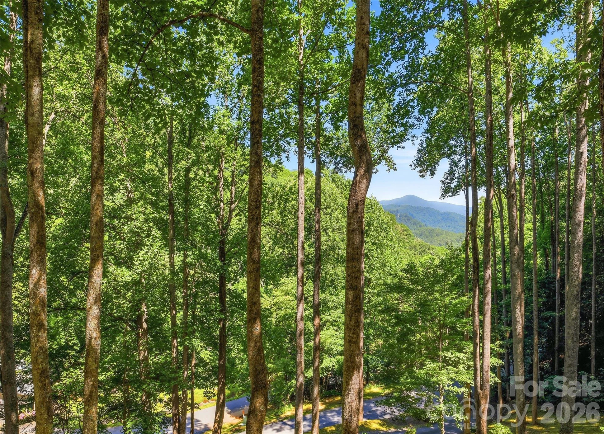 26 Tawodi Trail - Photo 8