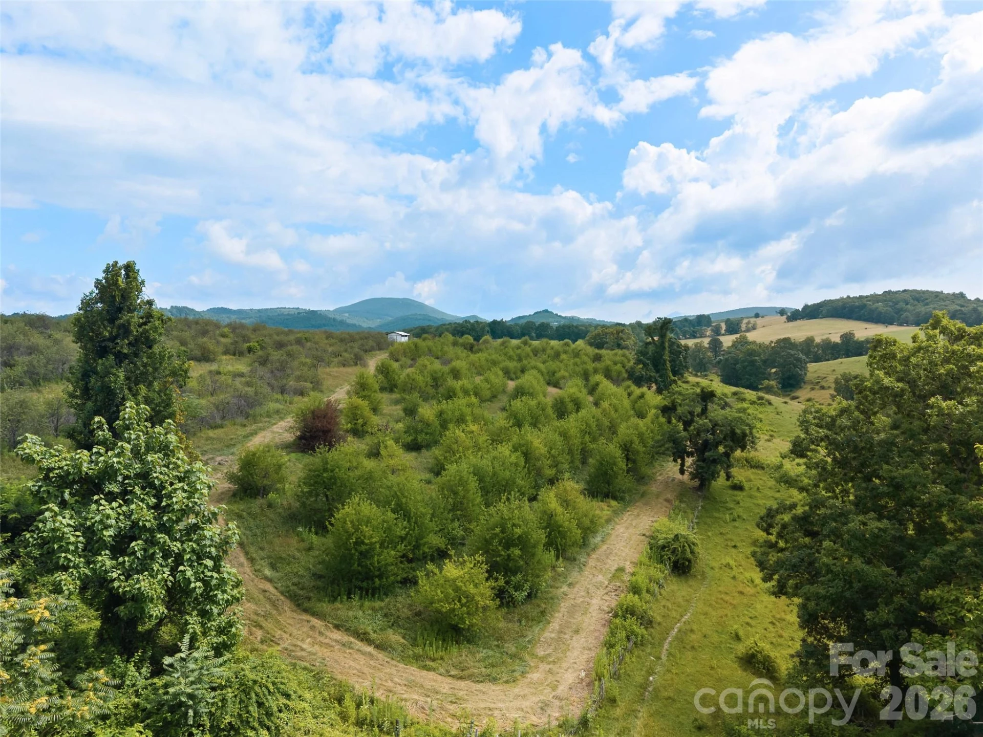 0 Summer Road #5 - Photo 13