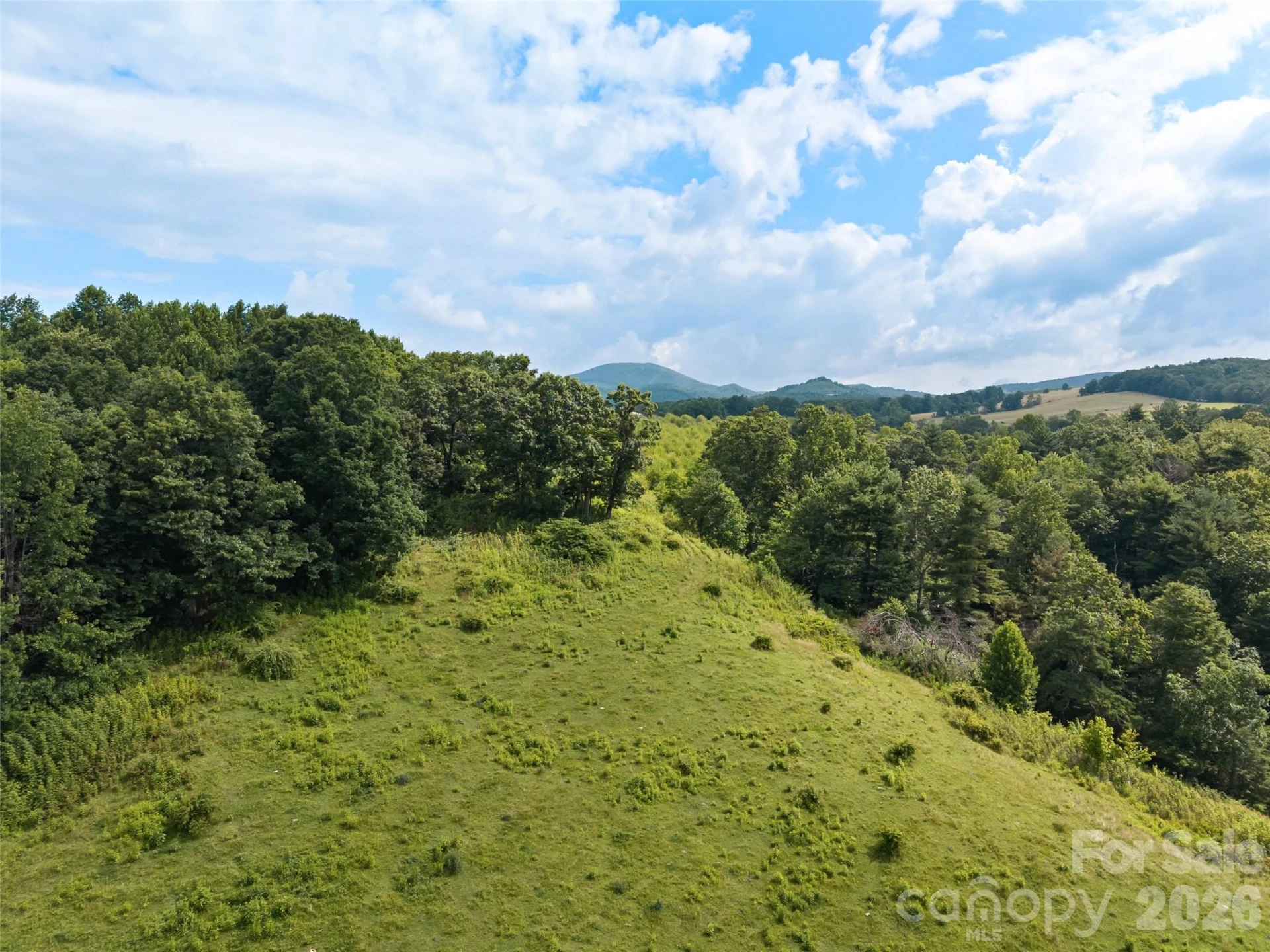 0 Summer Road #5 - Photo 4