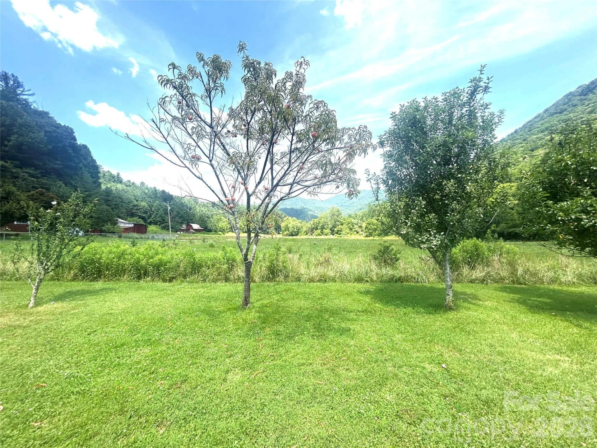 10755 NC 209 Highway - Photo 13