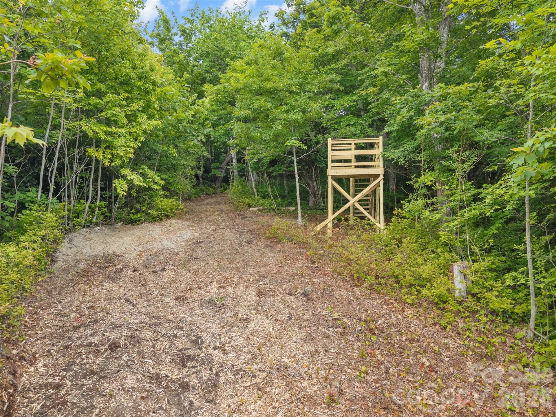 Lot 42 Spencer Lane #MR42 - Photo 12