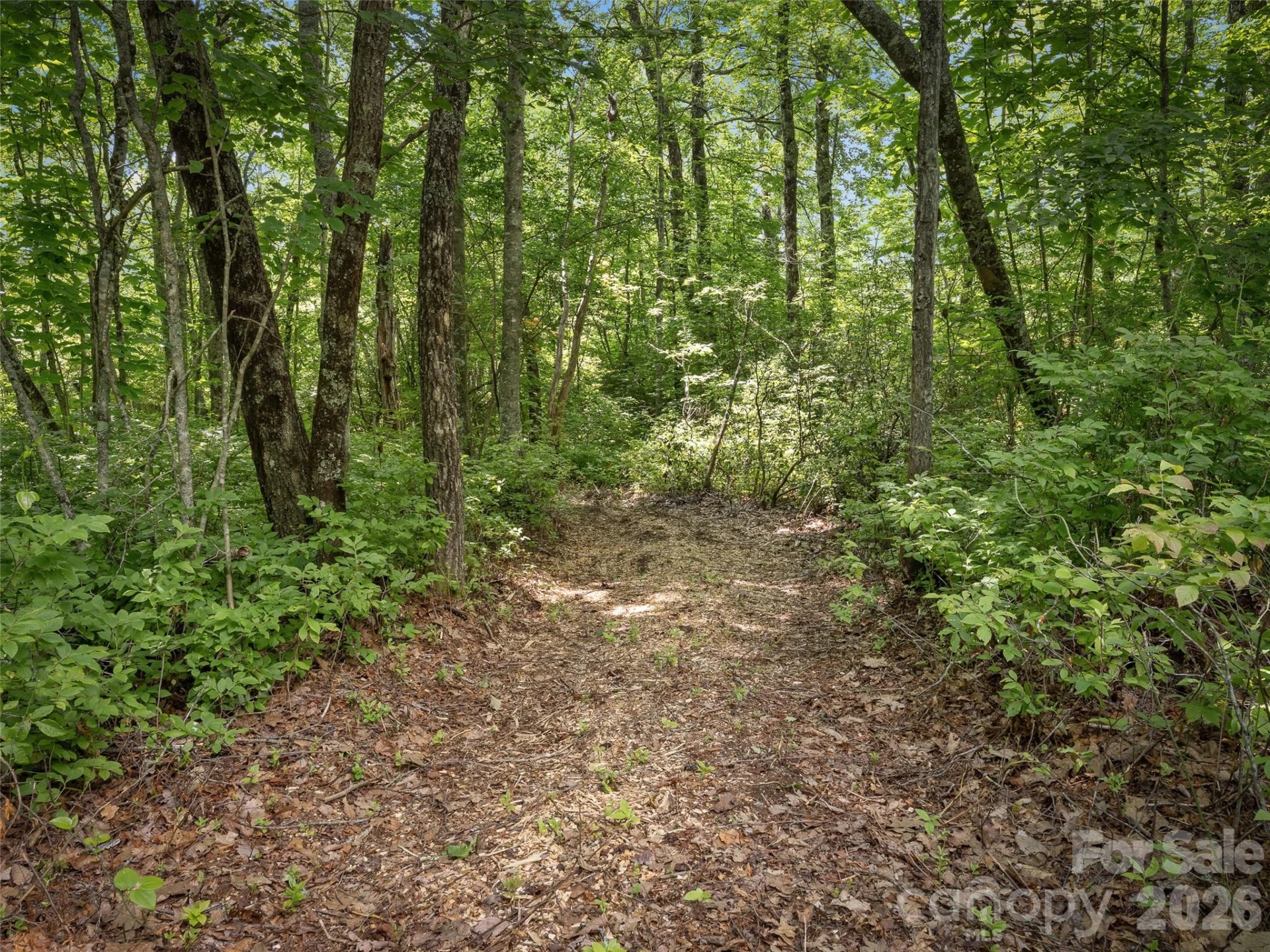 Lot 42 Spencer Lane #MR42 - Photo 5