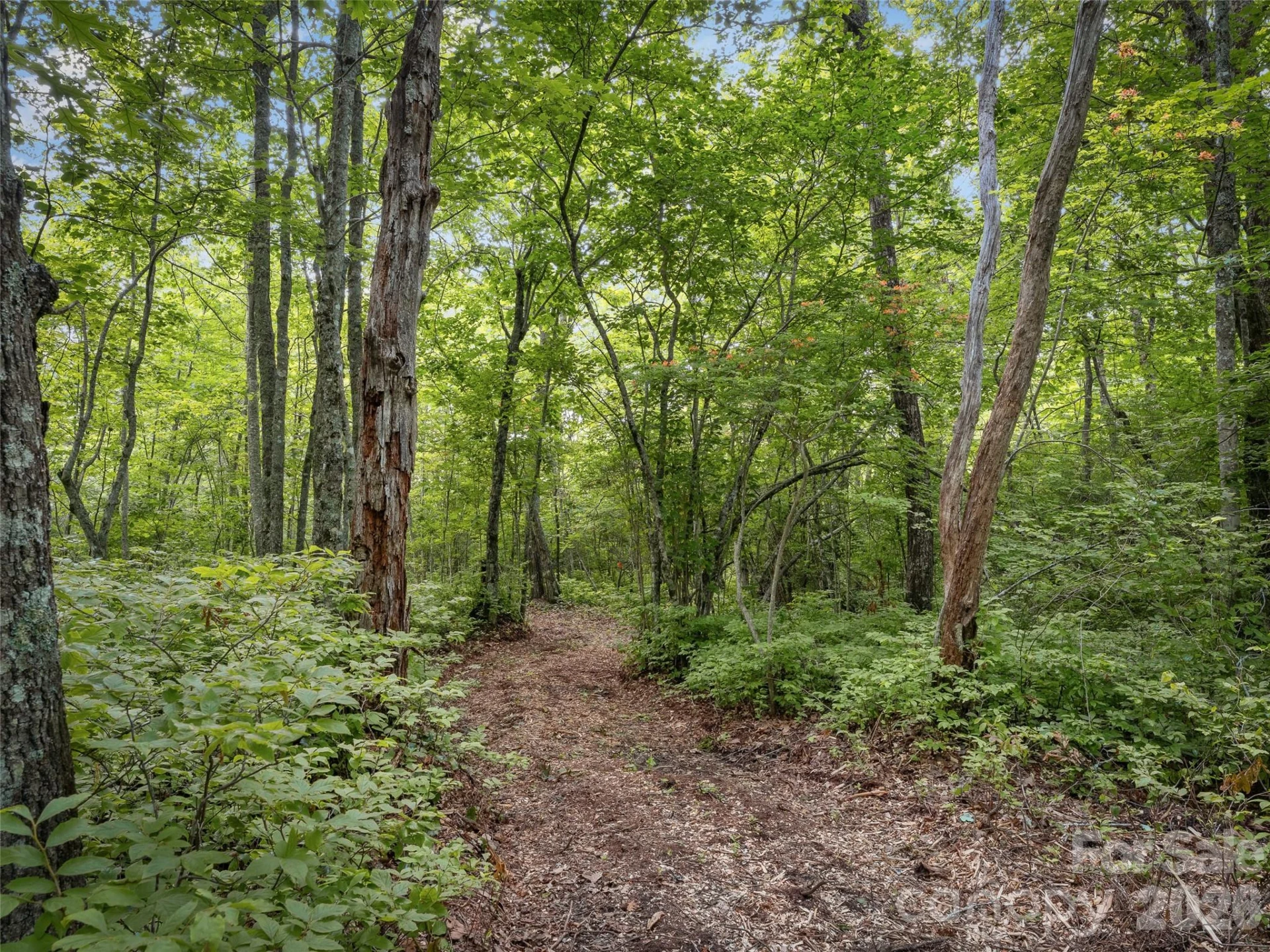 Lot 42 Spencer Lane #MR42 - Photo 6